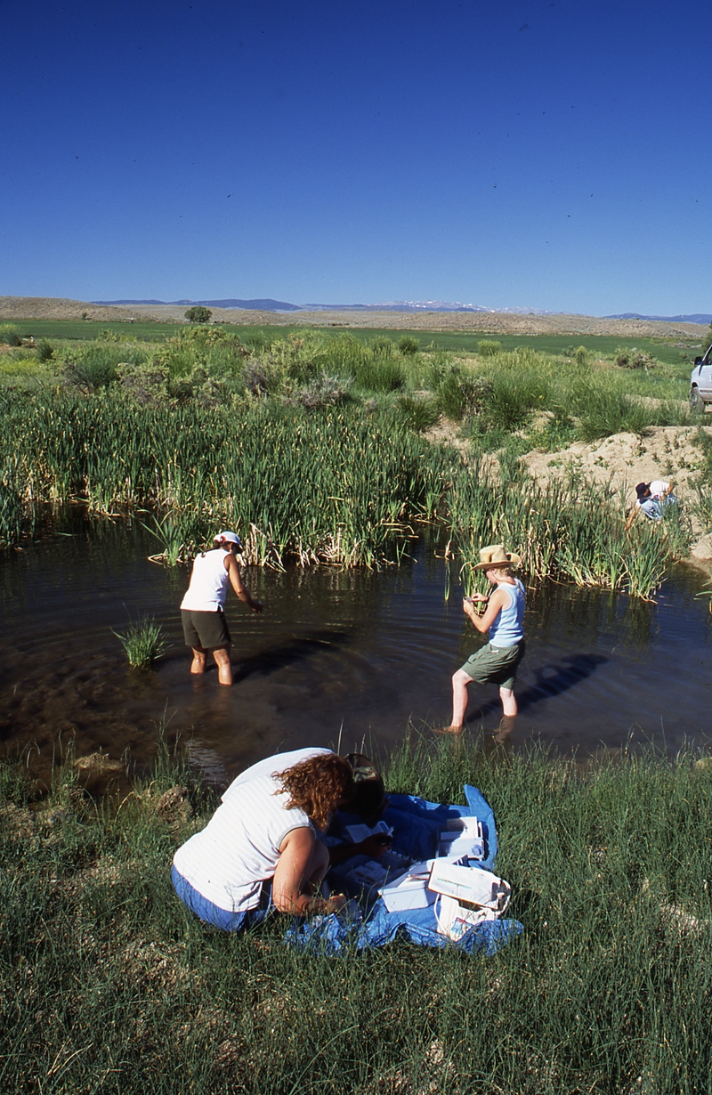 An image of geologists at field camp