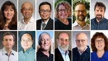 Curators’ Distinguished Professors